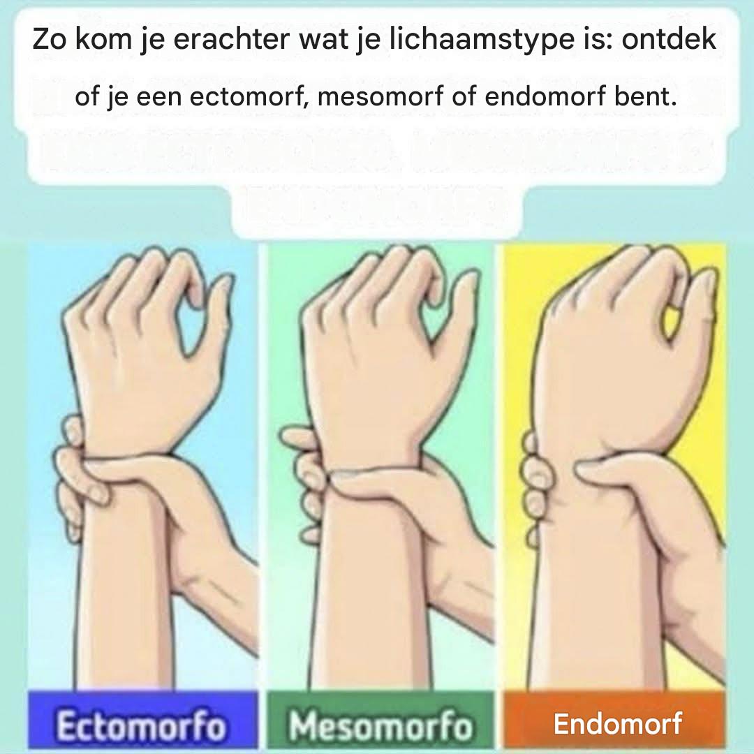 Ben je ectomorf, mesomorf of endomorf? Ontdek je lichaamstype en hoe je er het beste van kunt maken