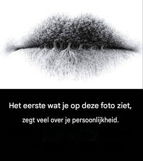 Wat zie je op de afbeelding? Het antwoord onthult je psychologische aard. Bekijk de eerste reactie
