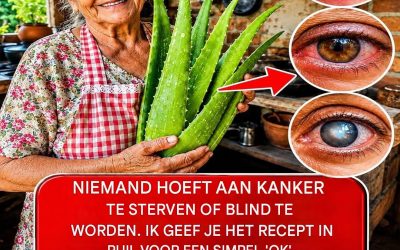 Aloë vera: een plant die meer geneest dan je denkt