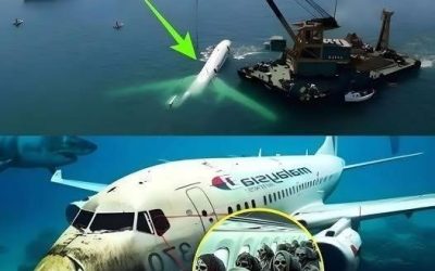 Elf jaar later: het mysterie van MH370 blijft de wereld in zijn greep houden.