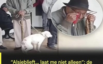De video duurt maar een paar seconden… Maar het ontwapent je volledig.