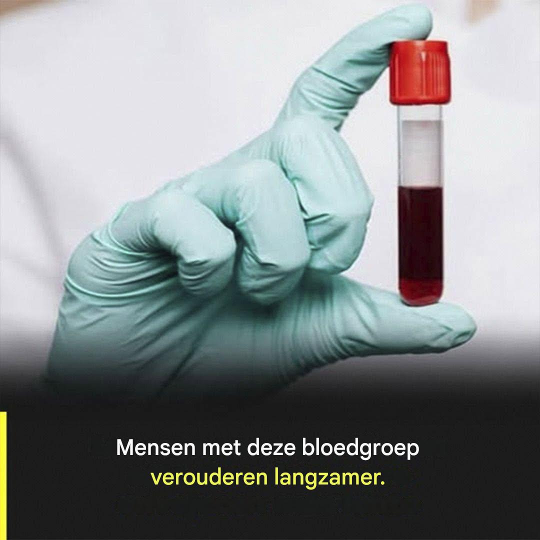 Kan je bloedgroep bepalen hoe snel je ouder wordt? Wat de wetenschap zegt