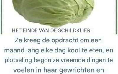 Kool en schildklier: wat je moet weten voordat je het in je dieet opneemtKool en schildklier: wat je moet weten voordat je het in je dieet opneemt