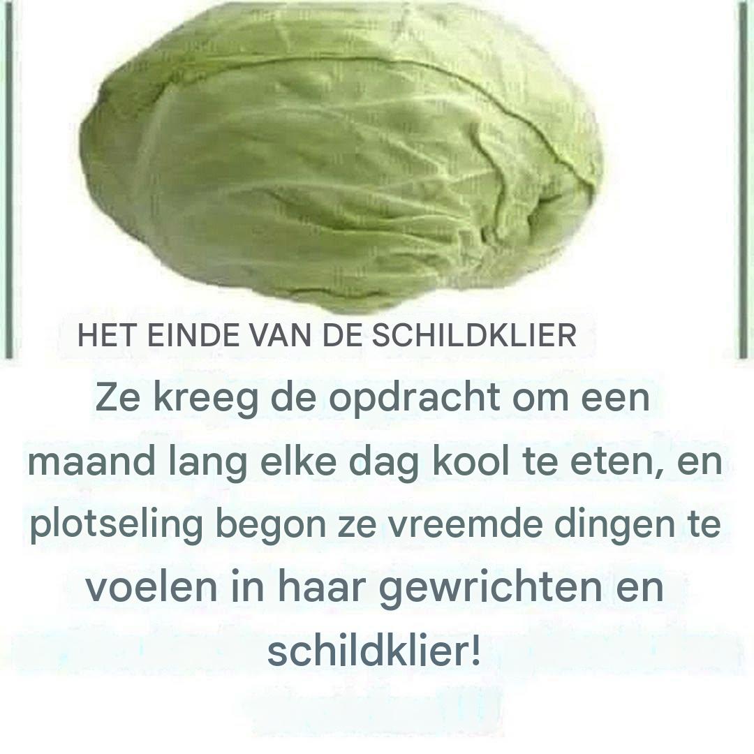 Kool en schildklier: wat je moet weten voordat je het in je dieet opneemtKool en schildklier: wat je moet weten voordat je het in je dieet opneemt