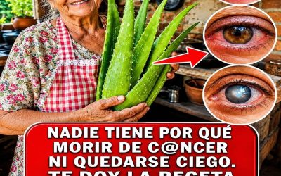Aloë vera: een plant die meer geneest dan je denkt.