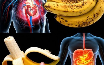 Wat gebeurt er als je na je 60e elke dag bananen eet? 🤔😁… Lees meer