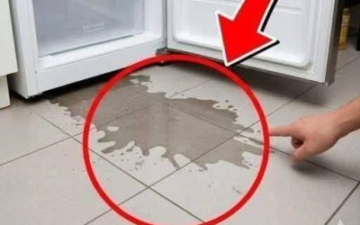 Koelkast lekt water en koelt langzamer: vrouwen kunnen leren hoe ze het zelf kunnen repareren.