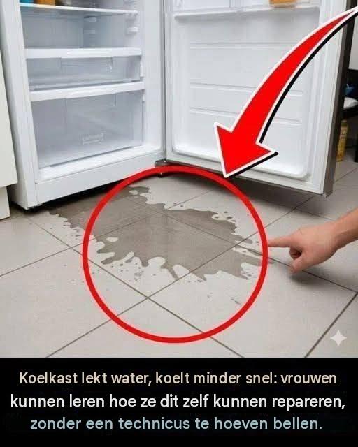 Koelkast lekt water en koelt langzamer: vrouwen kunnen leren hoe ze het zelf kunnen repareren.