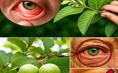 Guave en zijn bladeren: een natuurlijke bondgenoot in de strijd tegen diabetes.