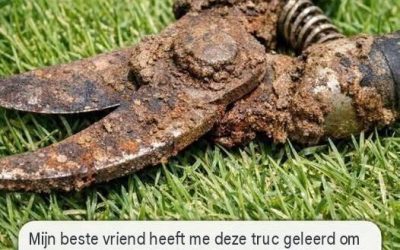 Mijn beste vriend heeft me deze truc geleerd om roestige aanslag van metalen tuinschaartjes moeiteloos te verwijderen. Zo werkt het: