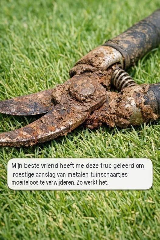 Mijn beste vriend heeft me deze truc geleerd om roestige aanslag van metalen tuinschaartjes moeiteloos te verwijderen. Zo werkt het: