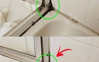 De snelste manier om schimmel op siliconenkit in de douche te verwijderen