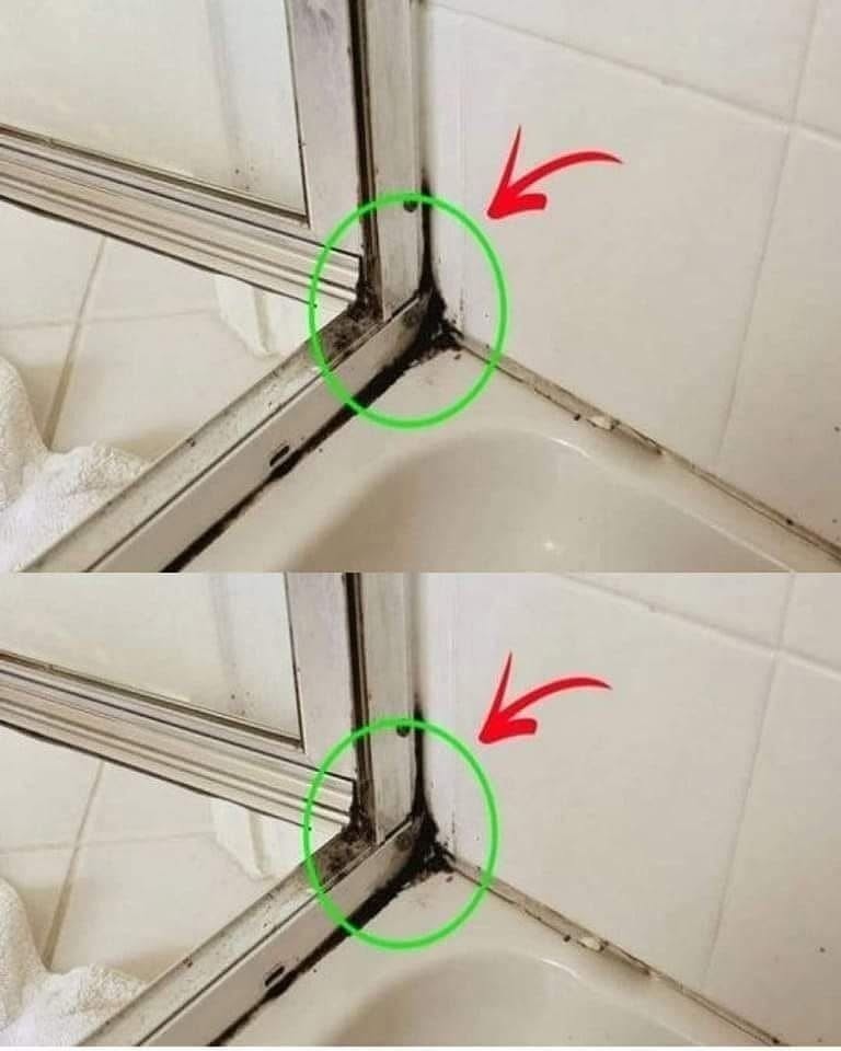 De snelste manier om schimmel op siliconenkit in de douche te verwijderen