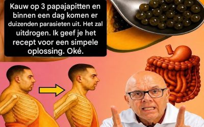 De ongelooflijke geneeskrachtige eigenschappen van papajazaden die je misschien nog niet kende.