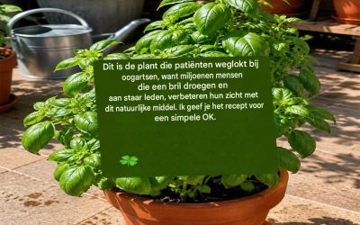 Paarse basilicum en ooggezondheid: wat deze plant echt voor je kan betekenen.