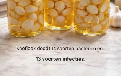 Wist je dat knoflook een natuurlijk antibioticum is dat infecties gemakkelijk kan bestrijden?