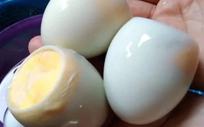Wat gebeurt er als je per ongeluk een bedorven ei eet?
