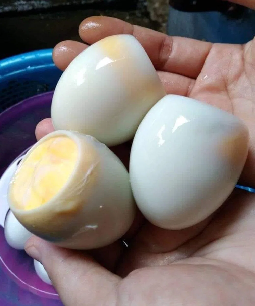 Wat gebeurt er als je per ongeluk een bedorven ei eet?