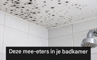 Als je deze kleine zwarte stipjes op het badkamerplafond ziet, negeer ze dan niet