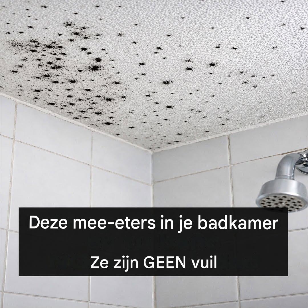 Als je deze kleine zwarte stipjes op het badkamerplafond ziet, negeer ze dan niet