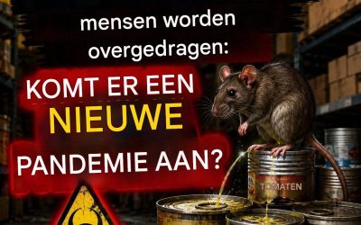 De WHO bevestigde dat dit hantavirus tussen mensen kan worden overgedragen