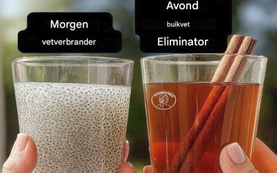 3 Natuurlijke Dranken Die Je Helpen Afvallen