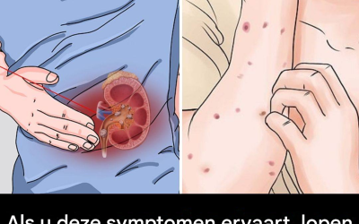 Hoe herken je vroege tekenen van nierziekte en hoe bescherm je je niergezondheid?