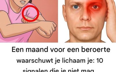 Een maand voor een beroerte waarschuwt je lichaam je: 10 signalen die je niet mag negeren…