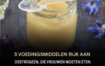 5 voedingsmiddelen rijk aan oestrogeen