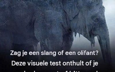 Wat zag je op het eerste gezicht? 97% van de mensen zag een slang! Ontdek of je oude dag bitter of zoet zal zijn!
