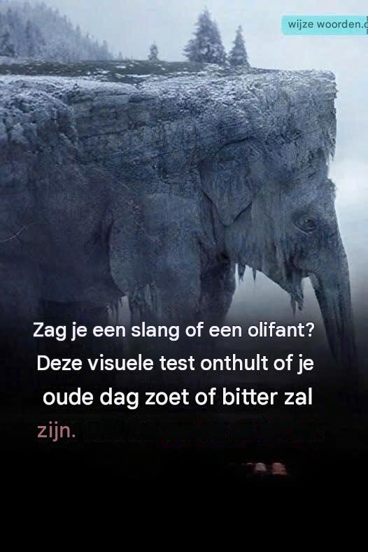 Wat zag je op het eerste gezicht? 97% van de mensen zag een slang! Ontdek of je oude dag bitter of zoet zal zijn!