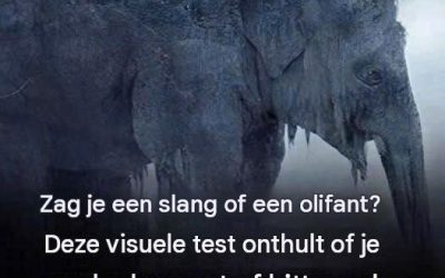 Wat zag je op het eerste gezicht? 97% van de mensen zag een slang! Ontdek of je oude dag bitter of zoet zal zijn!