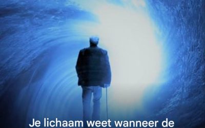 De geur van het einde: wanneer je neus het onzichtbare waarneemt voordat je verstand het ziet.