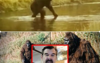 Het Bigfoot-mysterie is mogelijk opgelost — David Paulides presenteert schokkend bewijs
