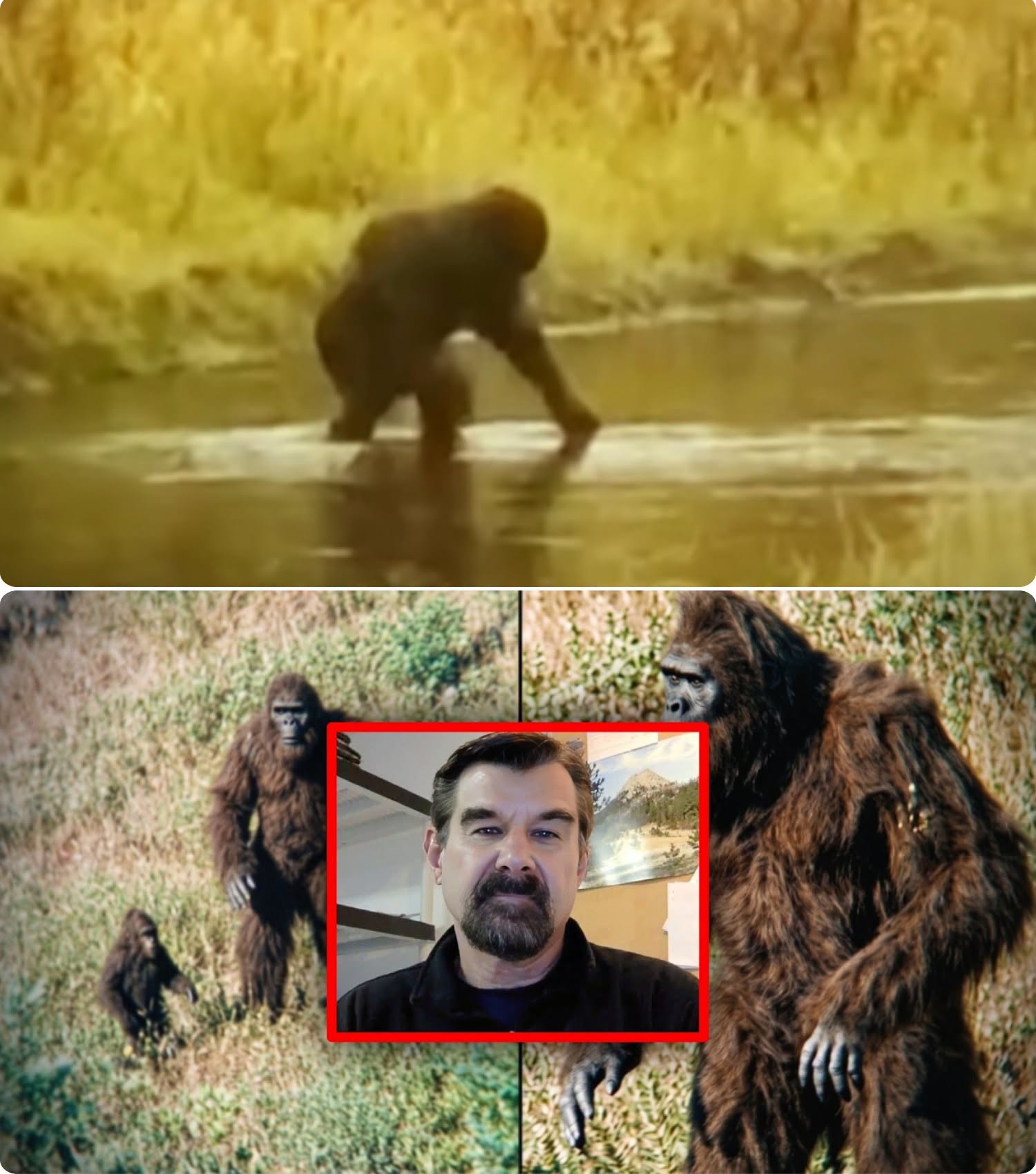 Het Bigfoot-mysterie is mogelijk opgelost — David Paulides presenteert schokkend bewijs