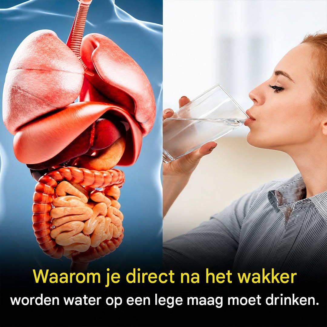 Water drinken op een lege maag: een simpele gewoonte die je een beter gevoel geeft.