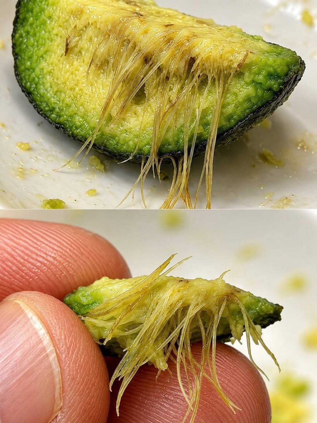 Waarom bevat je avocado die vezelige structuur, en wat betekenen die eigenlijk?