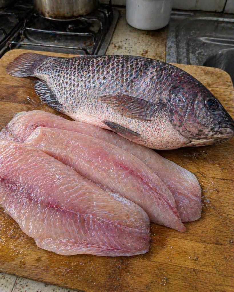 Tilapia: wat je echt moet weten voordat je het op je bord legt