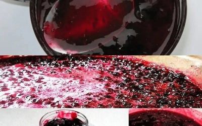 Zwartebessenjam is een geliefde delicatesse en een van de meest populaire jamsoorten voor de koude maanden. Het verbetert niet alleen de smaak van gerechten, maar biedt ook talloze gezondheidsvoordelen. In dit artikel presenteren we een traditioneel recept, precies zoals onze grootmoeders het maakten, zodat u thuis van deze lekkernij kunt genieten.