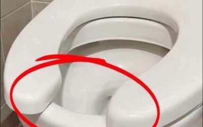 Ik had geen idee dat die kleine ruimte in de toiletbril eigenlijk een praktisch doel heeft…
