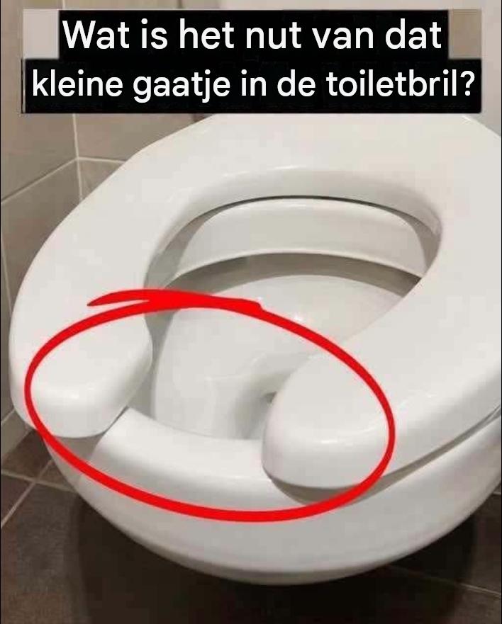 Ik had geen idee dat die kleine ruimte in de toiletbril eigenlijk een praktisch doel heeft…