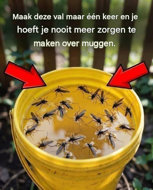 Zet deze val één keer op en je hoeft je nooit meer zorgen te maken over muggen!